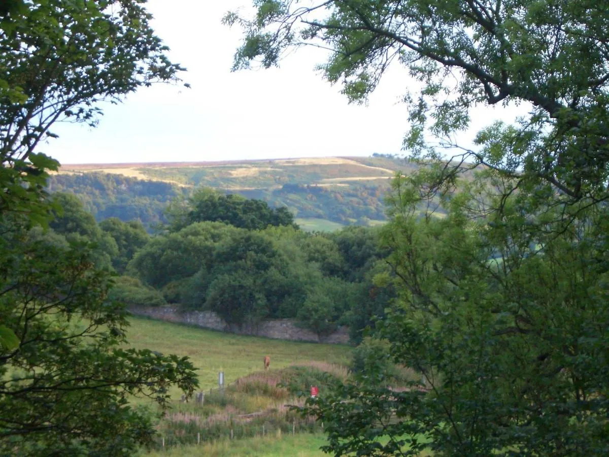 Beechlands Sleights