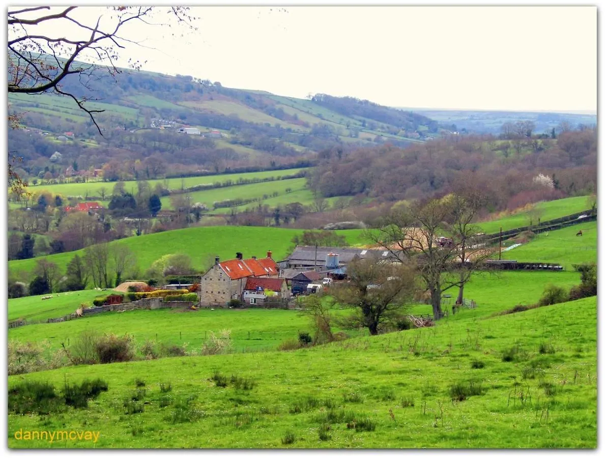 Beechlands
