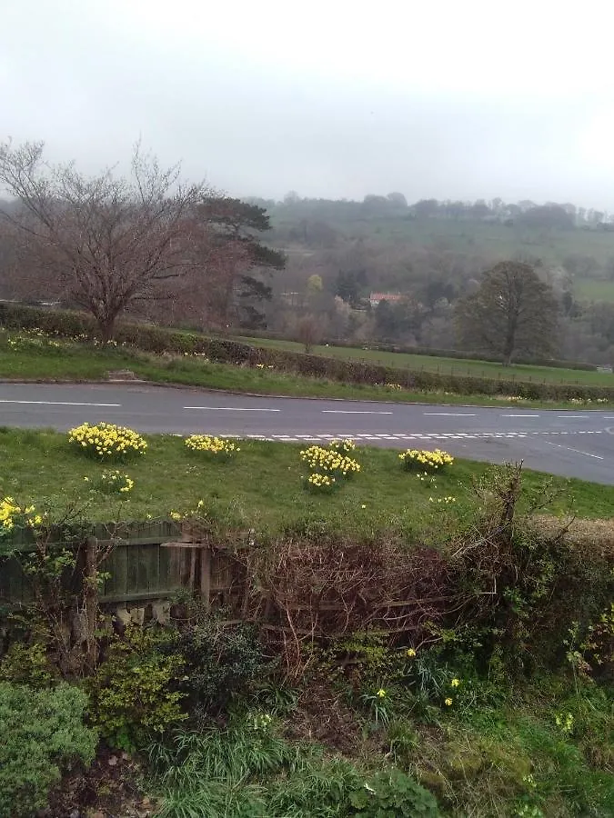Beechlands