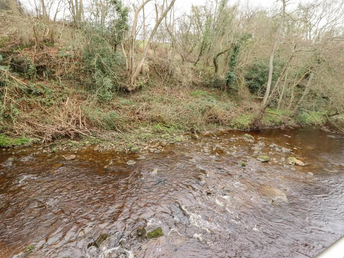 Riverbank View 度假居 惠特比