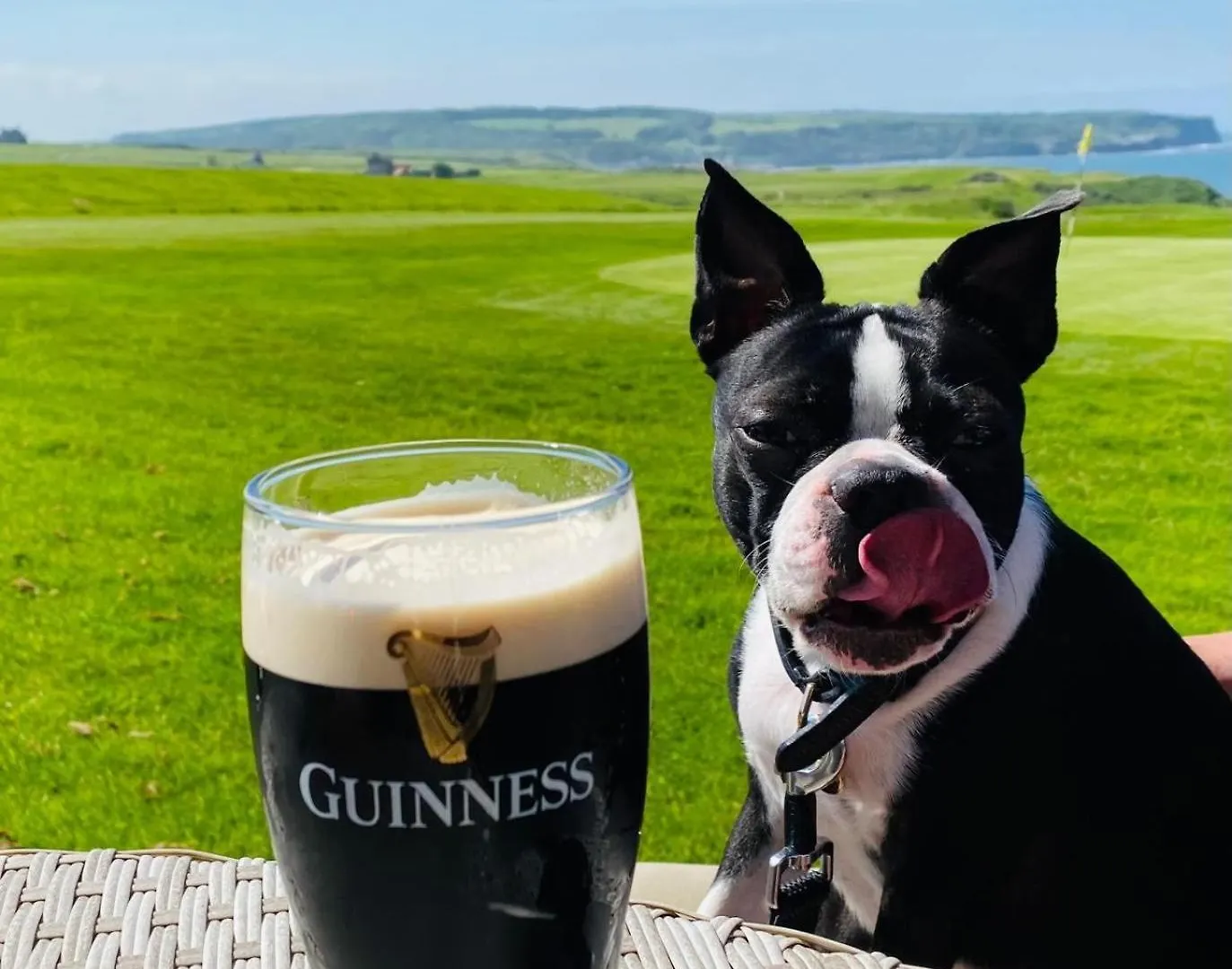 The White House Inn - Whitby