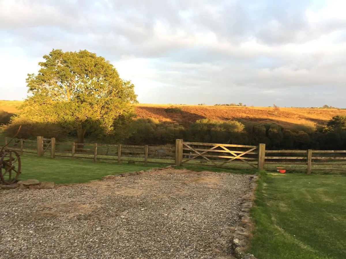 Folly Hall Farm 惠特比