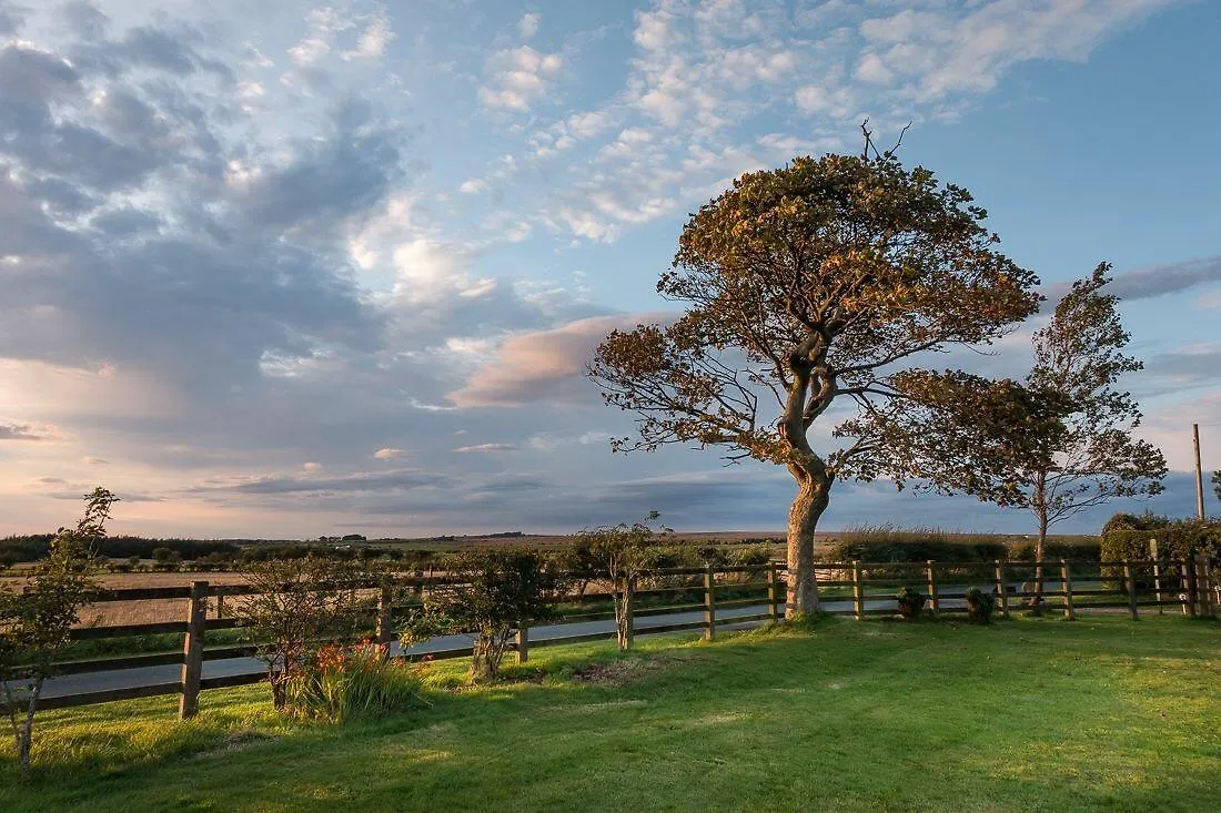 Folly Hall Farm 惠特比
