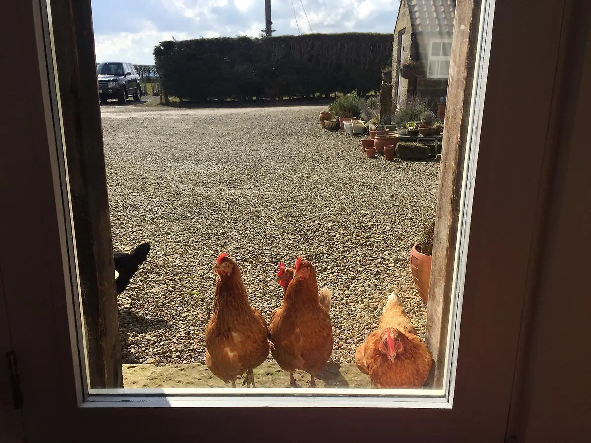 Folly Hall Farm