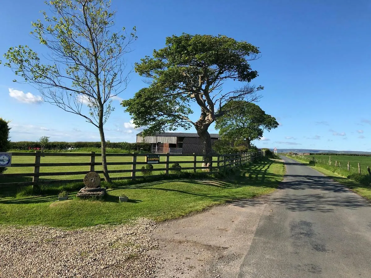 Folly Hall Farm 住宿加早餐酒店 惠特比