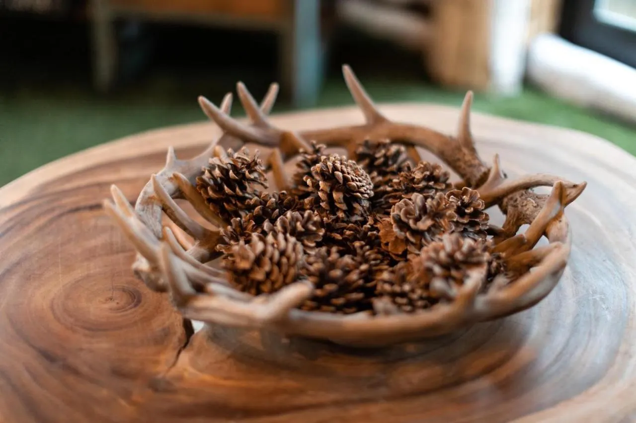 아파트 The Stag At Cross Butts Farm *