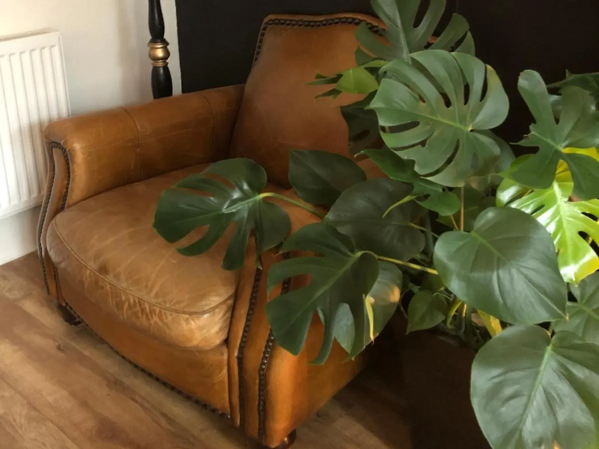 High Tor Bed & Breakfast Whitby