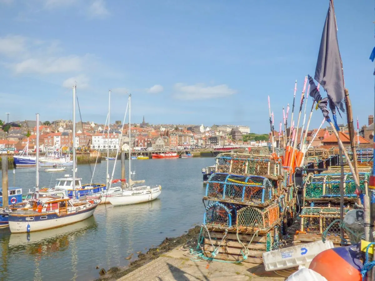 Dove Whitby