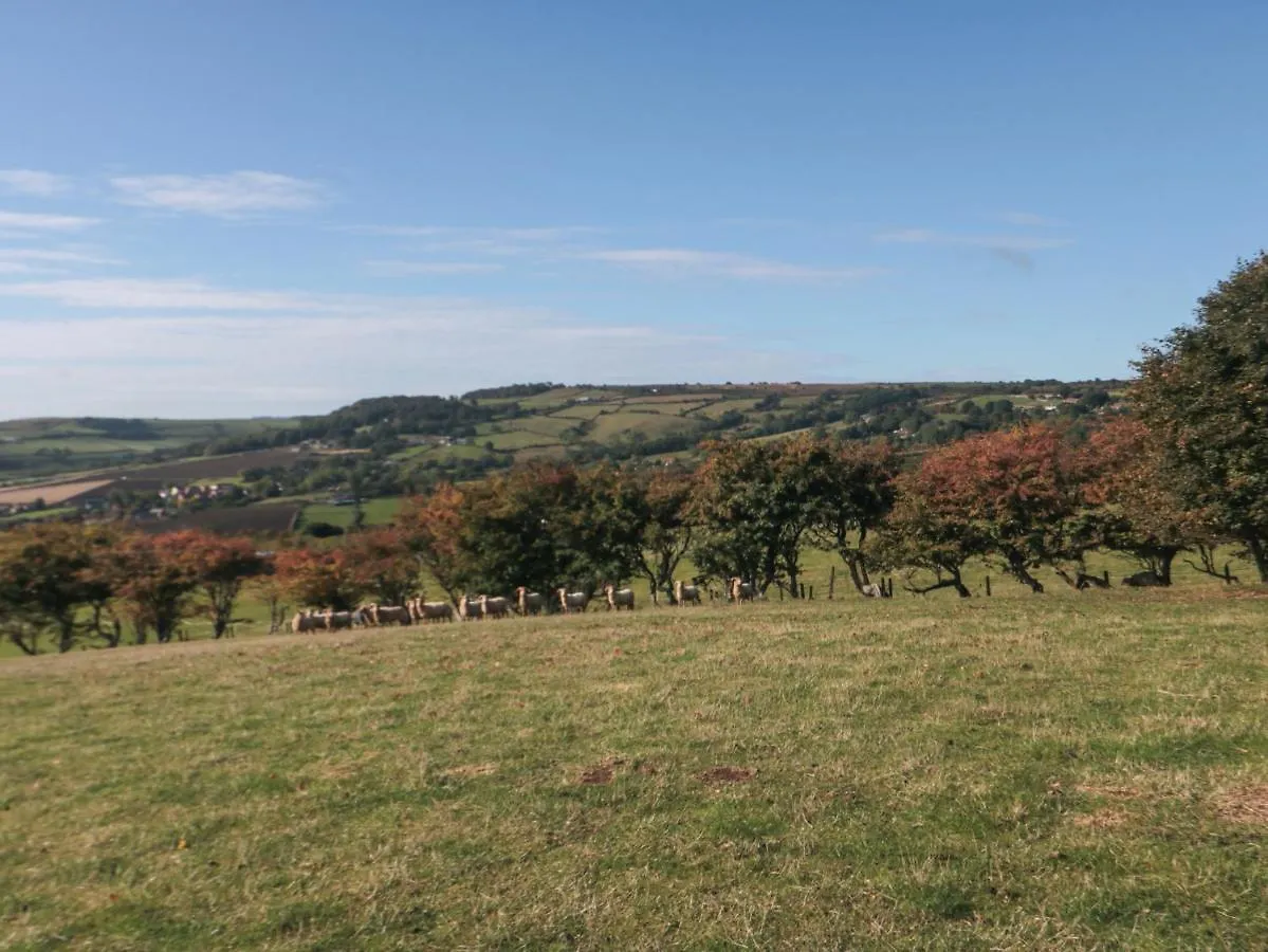 The Shepherd's Rest Holiday home
