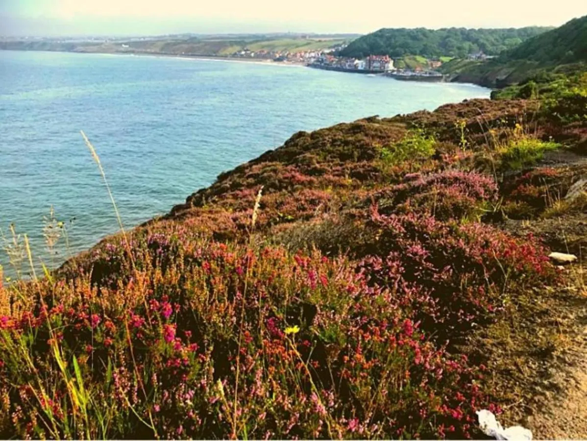 Holiday home The Look Out-yorkshire Coast Lets