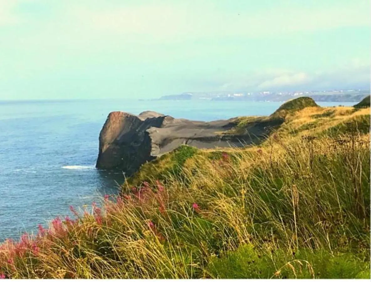 The Look Out-yorkshire Coast Lets Holiday home *