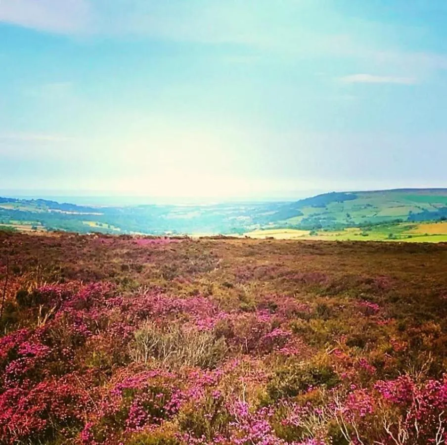 East Cliff View - Yorkshire Coast Lets
