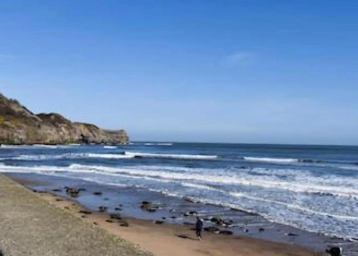 East Cliff View - Yorkshire Coast Lets Holiday home Whitby
