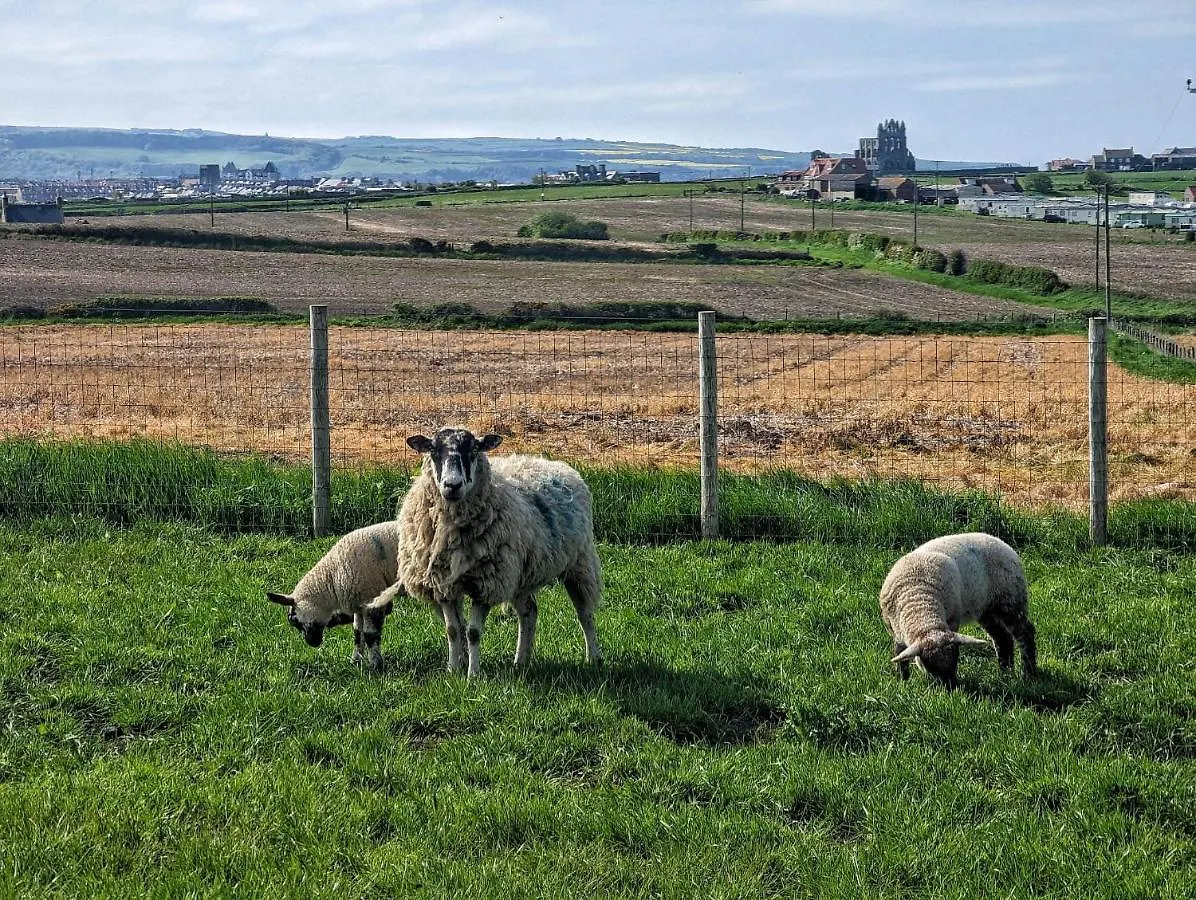 The Annex Brook House Farm, Abbey Views, Yorkshire Coast Lets Whitby