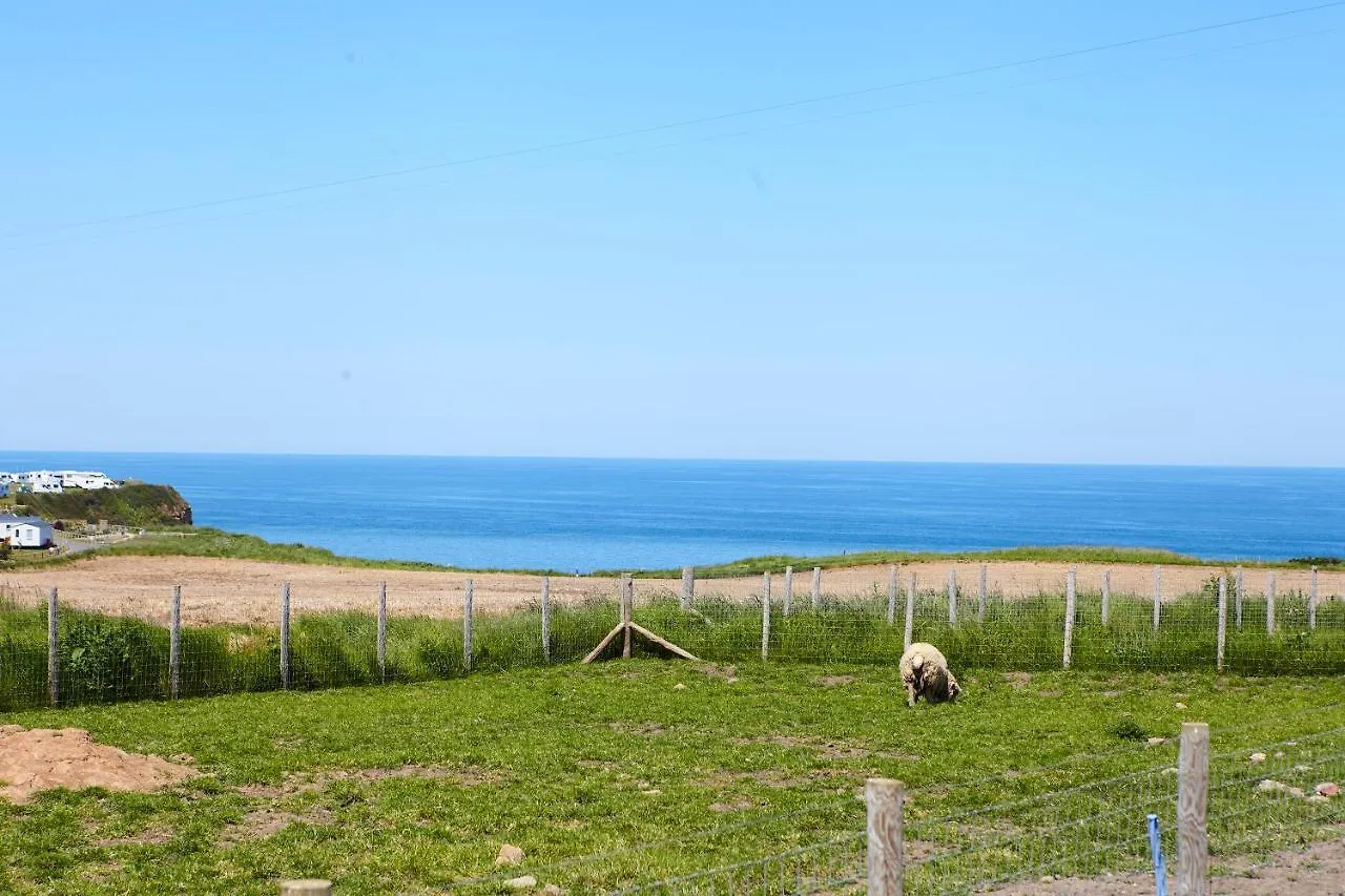 The Annex Brook House Farm, Abbey Views, Yorkshire Coast Lets Lägenhet Whitby