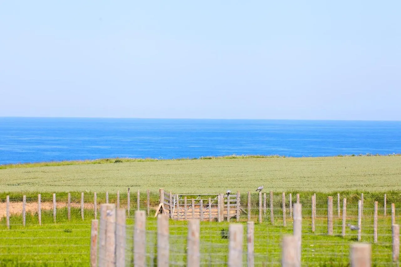 The Annex Brook House Farm, Abbey Views, Yorkshire Coast Lets * Whitby