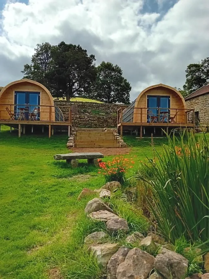 Coombs Glamping Pods *