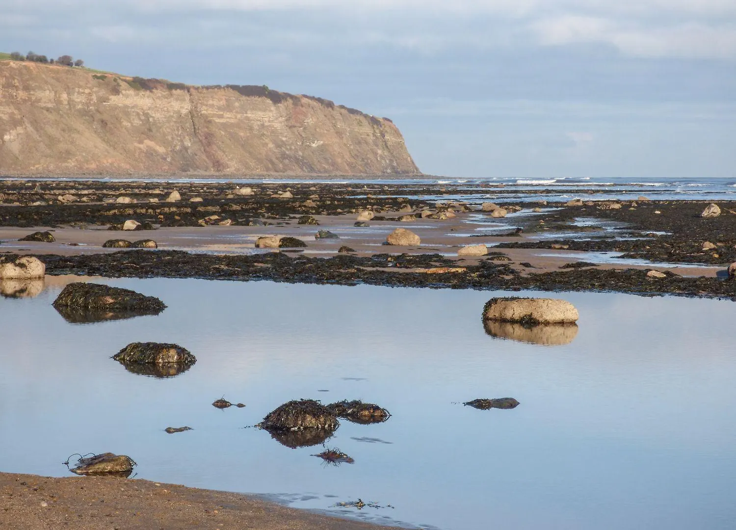 Pebble Holiday home Whitby