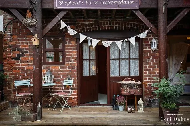 The Shepherd's Purse 3* וויטבי