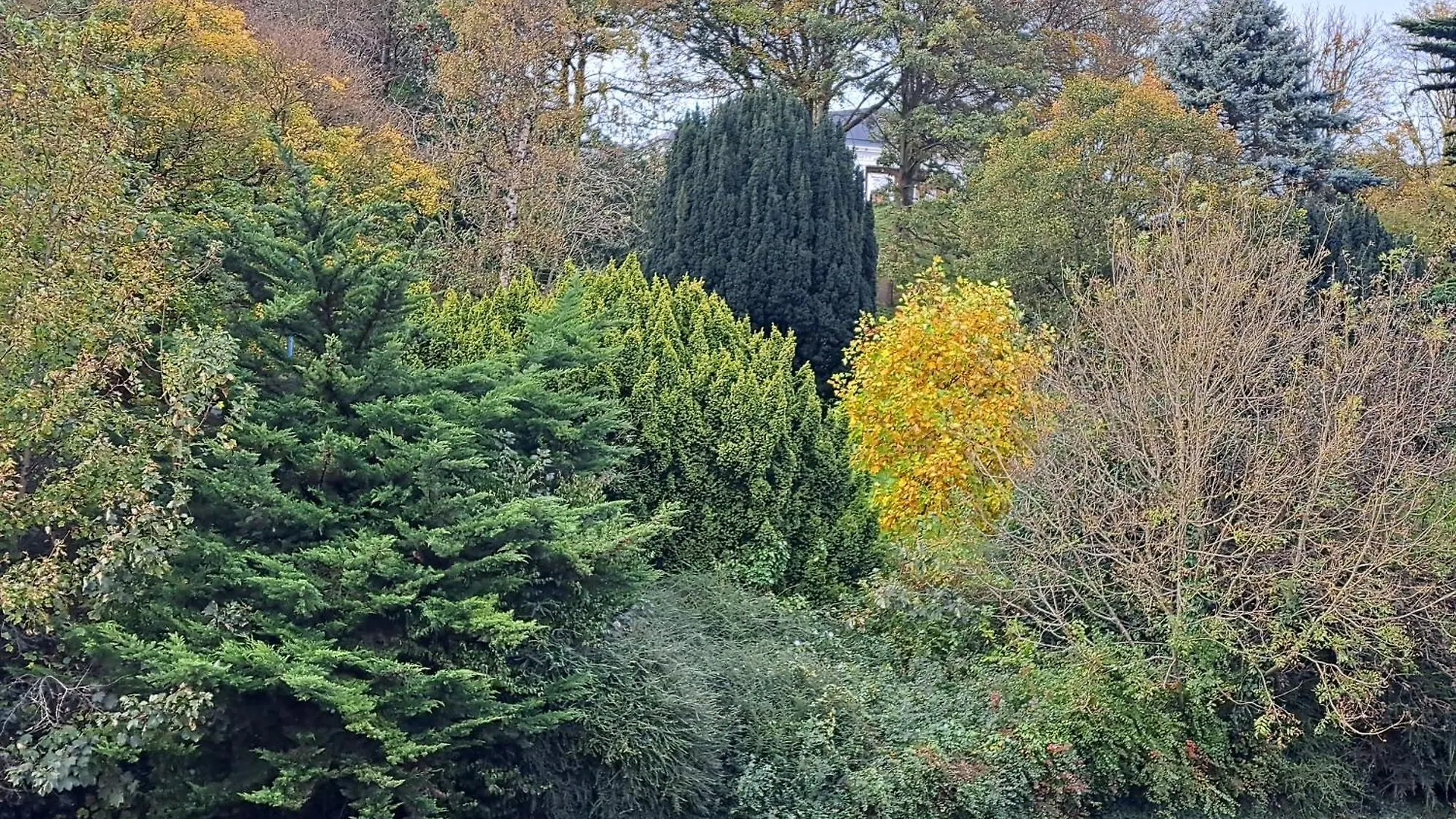 Rylstone Mere Pensjonat