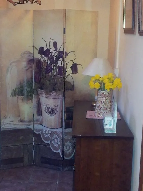 Bed & Breakfast Elm Grove