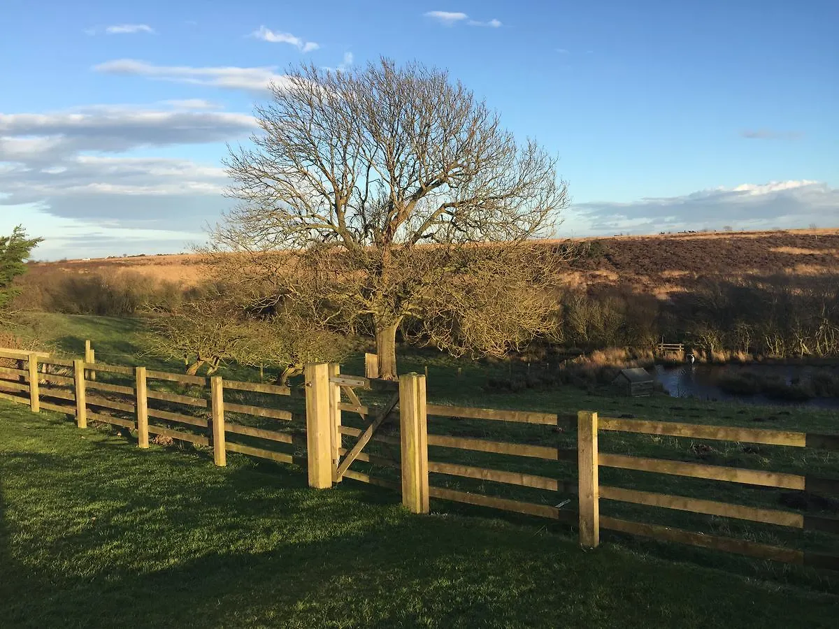 Folly Hall Farm 4*