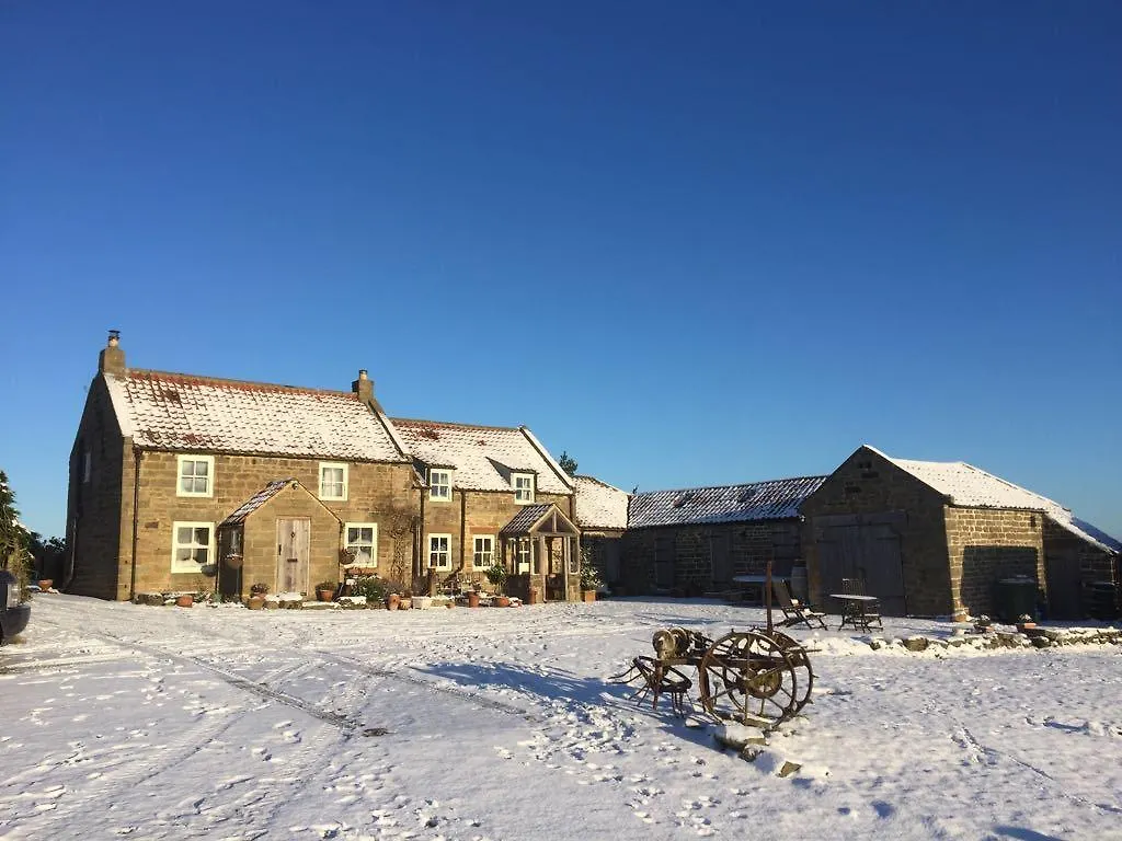 Nocleg ze śniadaniem Folly Hall Farm Whitby