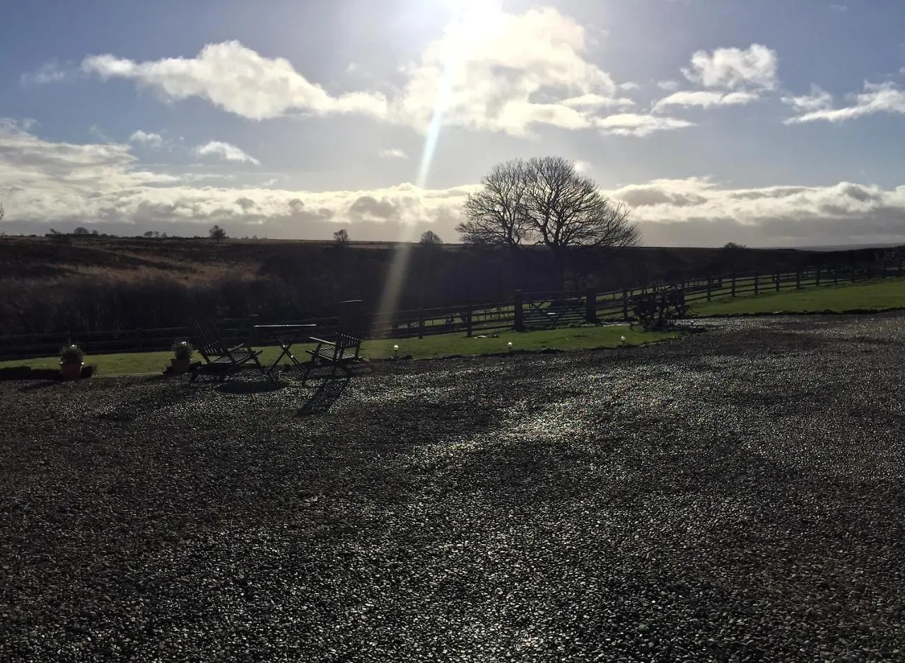 Folly Hall Farm Whitby