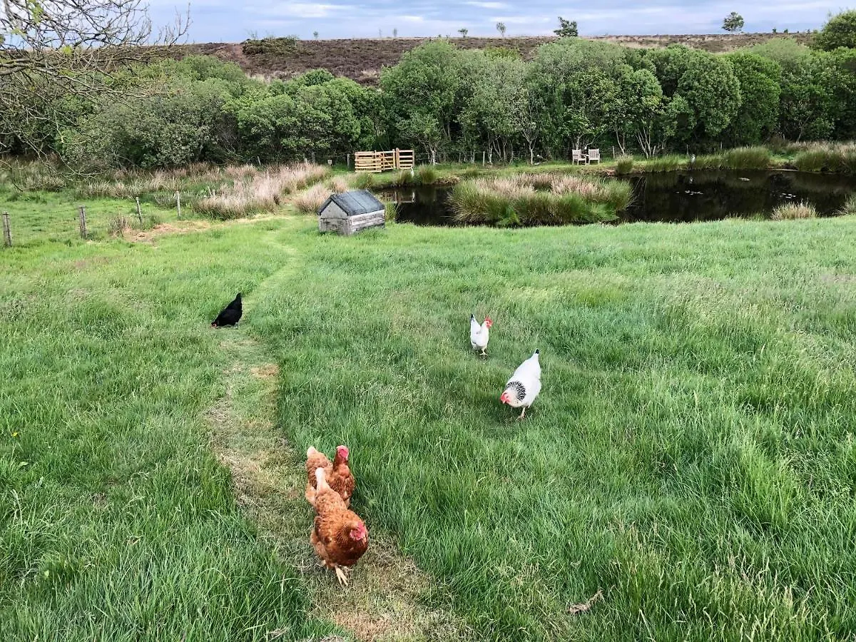 Folly Hall Farm 4* Whitby