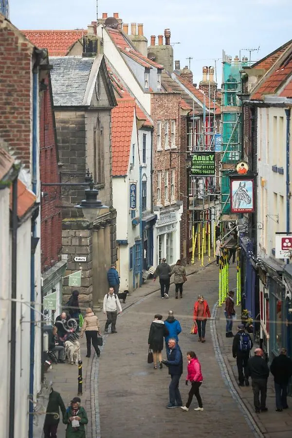 Cobbleview Whitby